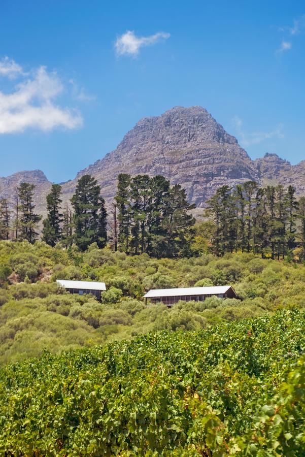 Bush Lodge At Hidden Valley Wines Stellenbosch Eksteriør bilde