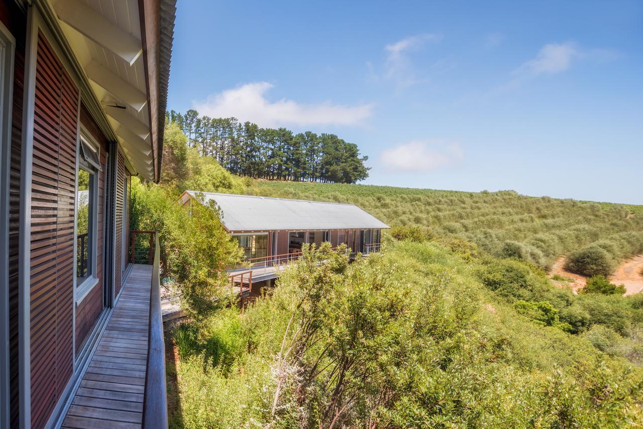 Bush Lodge At Hidden Valley Wines Stellenbosch Eksteriør bilde